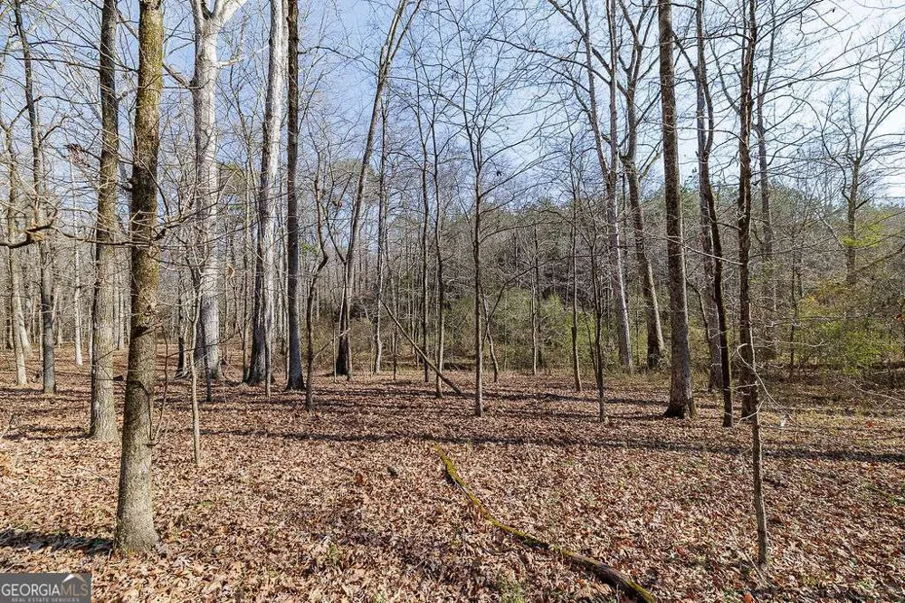2644 Nunnally Shoals Tract 2 RD Good Hope, GA 30641