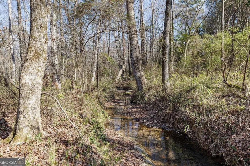 2644 Nunnally Shoals Tract 2 RD Good Hope, GA 30641