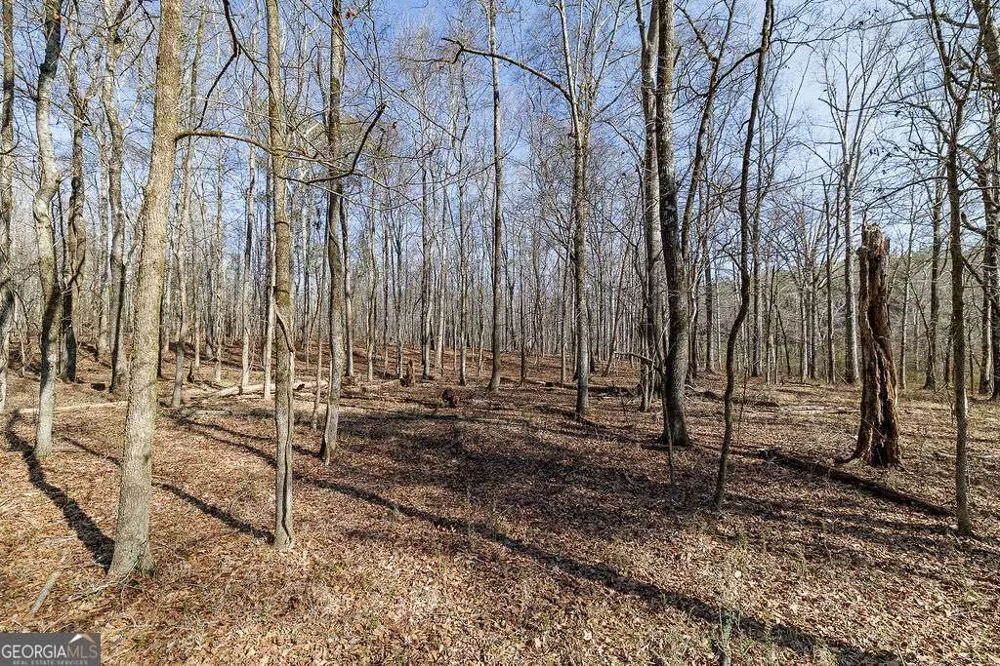 2644 Nunnally Shoals Tract 2 RD Good Hope, GA 30641
