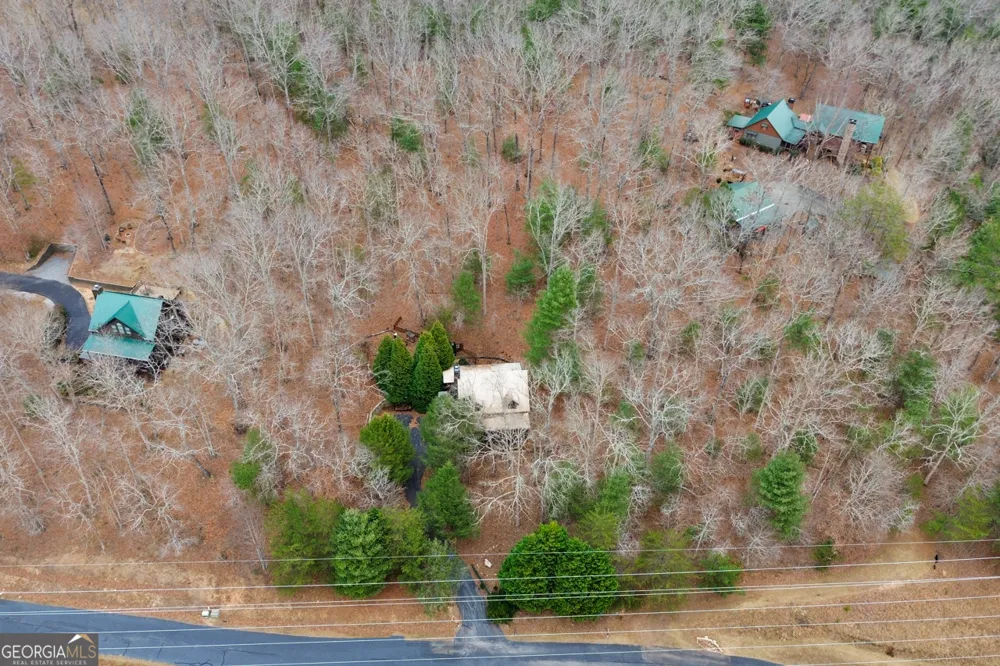 143 Kaely DR Mineral Bluff, GA 30559
