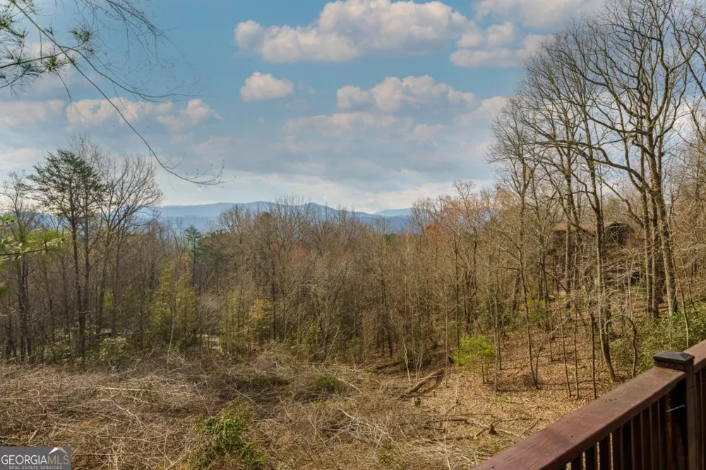 97 Fox Mountain Crossing RD Blue Ridge, GA 30513