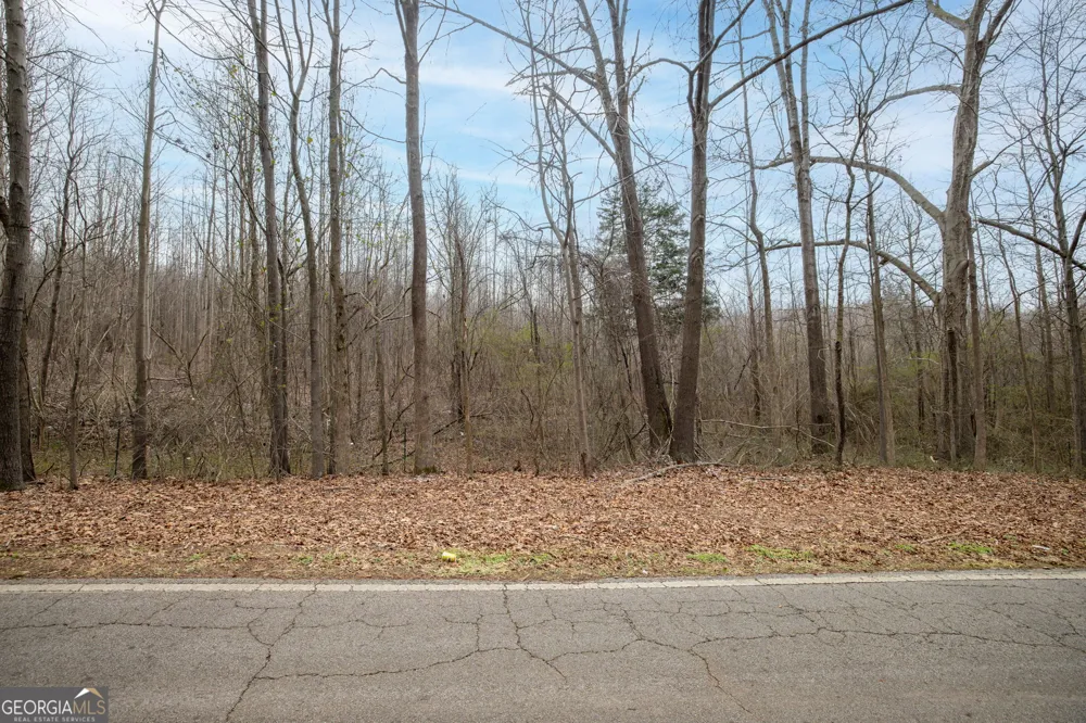 740 Broad River Church Rd Tract B Eastanollee, GA 30538