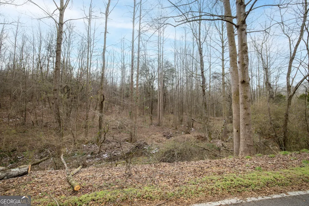 740 Broad River Church Rd Tract A Eastanollee, GA 30538