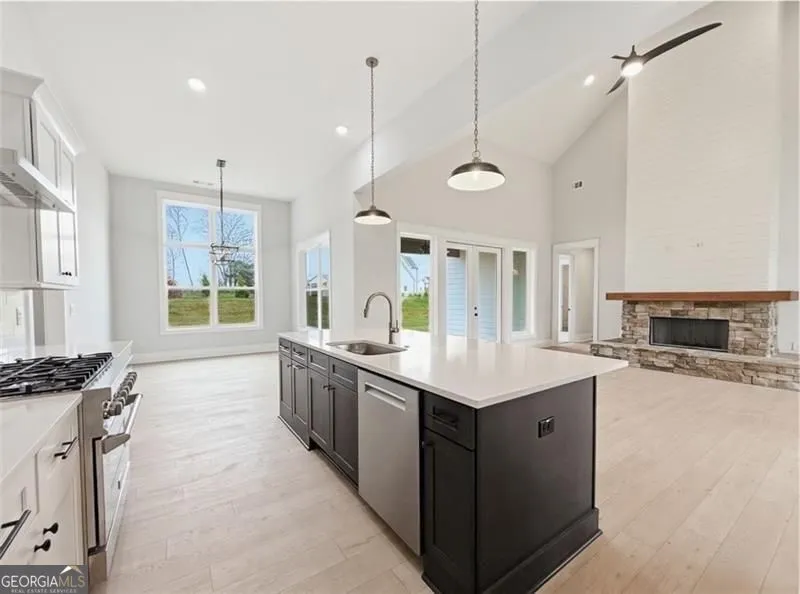 115 Palisade DR Rydal, GA 30171