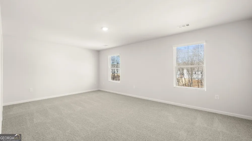 65 King VLG Braselton, GA 30517