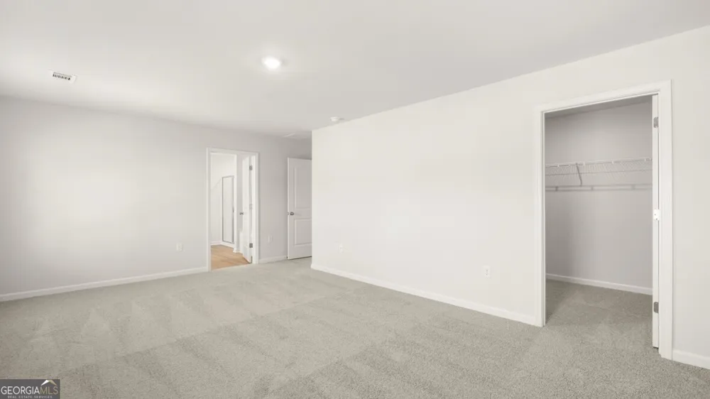 65 King VLG Braselton, GA 30517