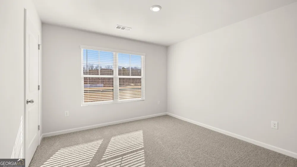 65 King VLG Braselton, GA 30517