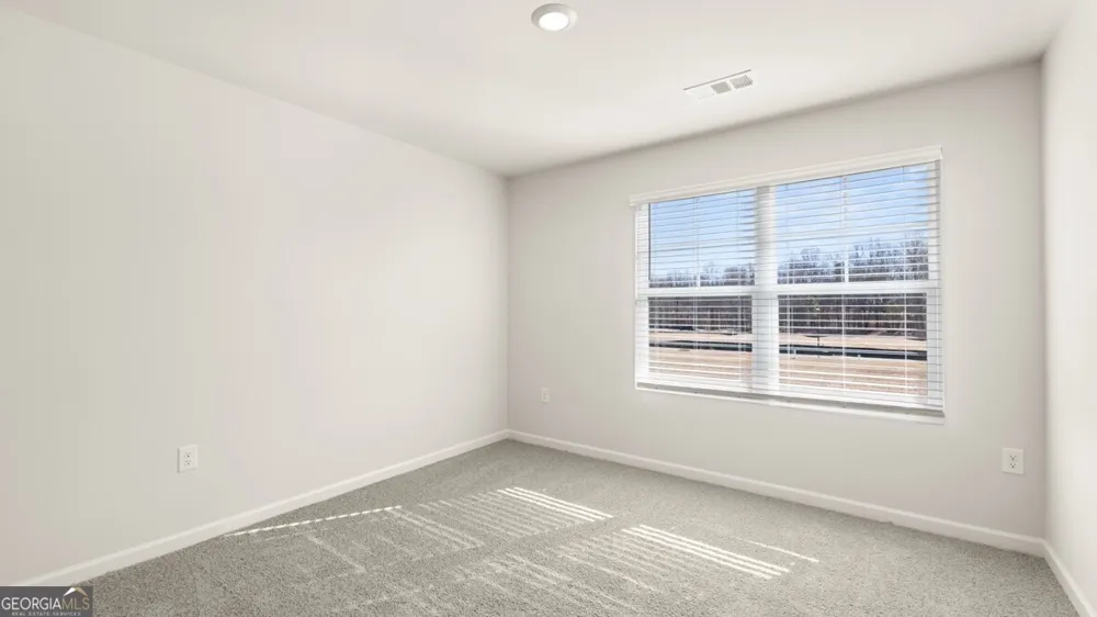 65 King VLG Braselton, GA 30517