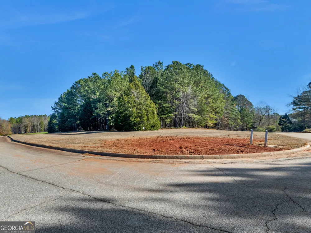 346 Tussahaw TRL Jackson, GA 30233