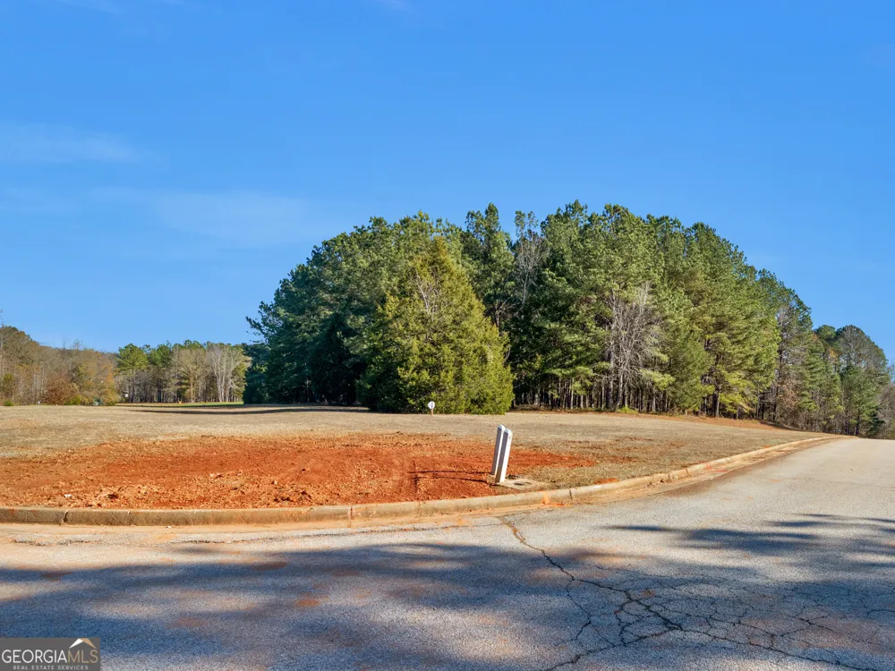 346 Tussahaw TRL Jackson, GA 30233