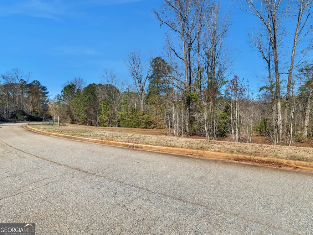 346 Tussahaw TRL Jackson, GA 30233