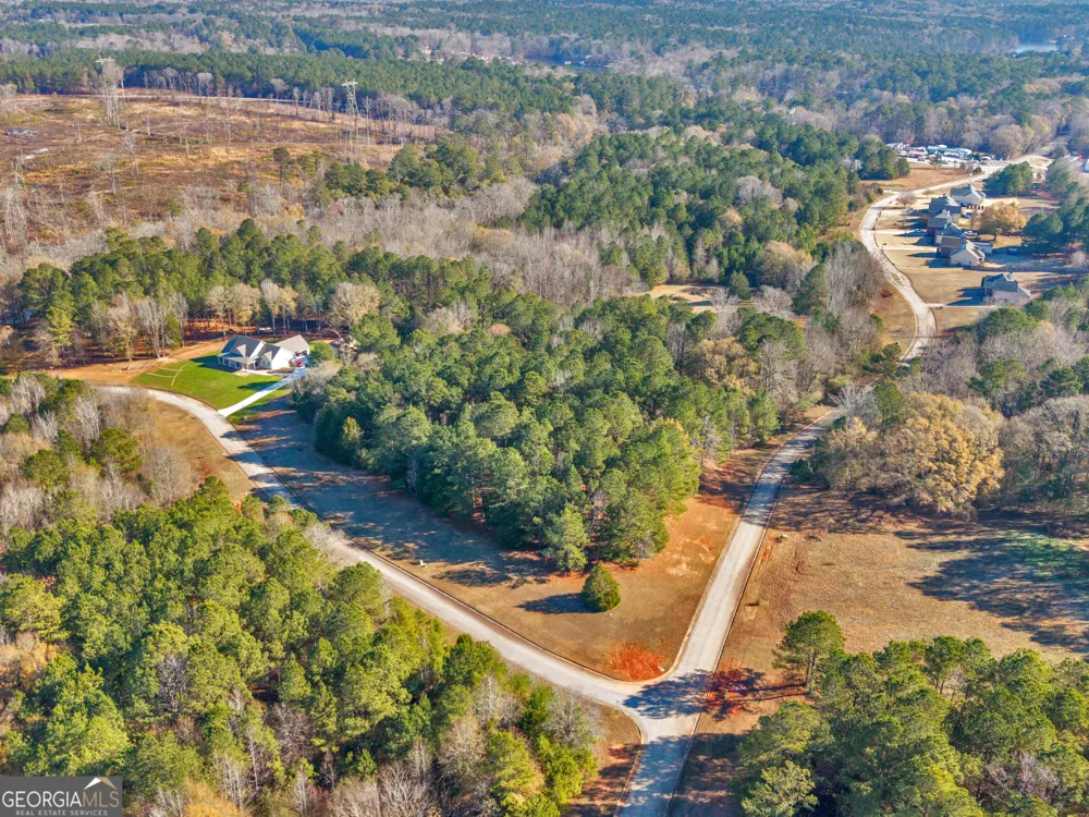 346 Tussahaw TRL Jackson, GA 30233
