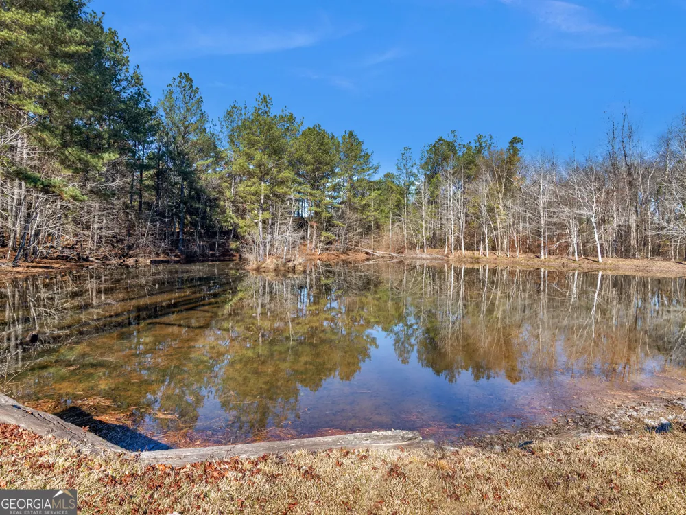 346 Tussahaw TRL Jackson, GA 30233