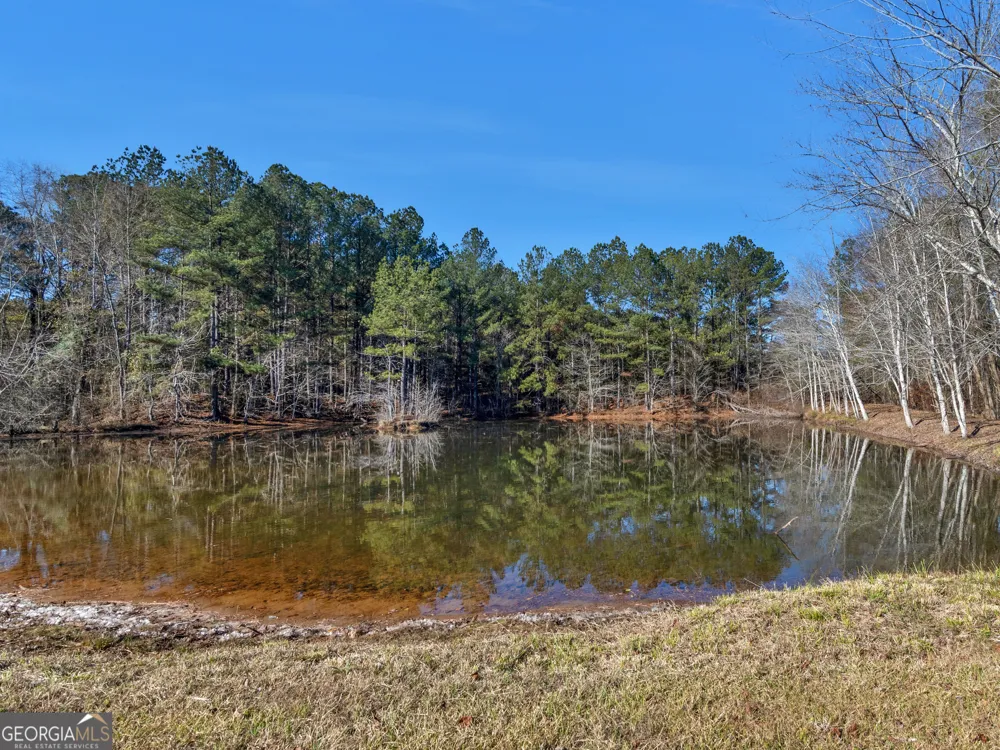 346 Tussahaw TRL Jackson, GA 30233