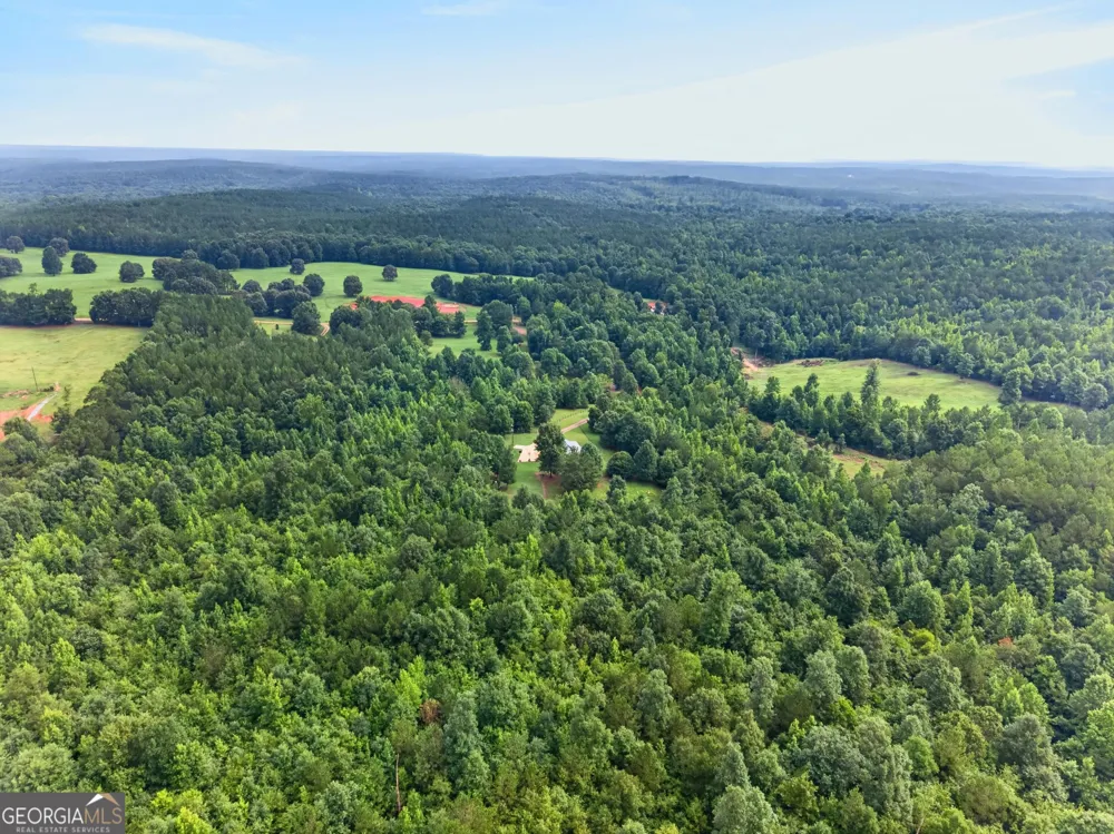 343 Torbet DR Forsyth, GA 31029