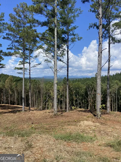 LOT 63 Lacey Springs LN