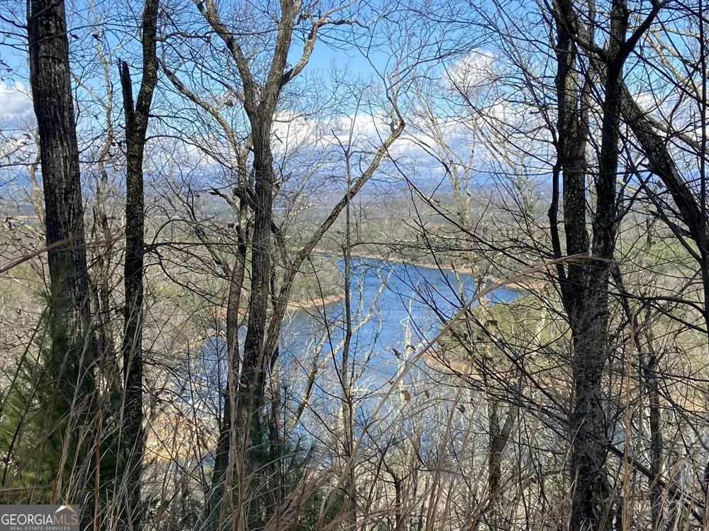 #139 Genessee Path Blue Ridge, GA 30513