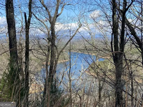 #139 Genessee Path