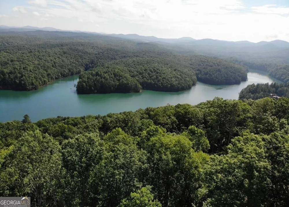 #139 Genessee Path Blue Ridge, GA 30513