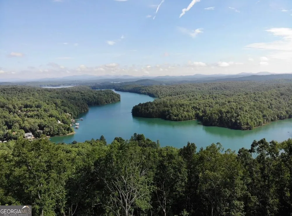 #139 Genessee Path Blue Ridge, GA 30513