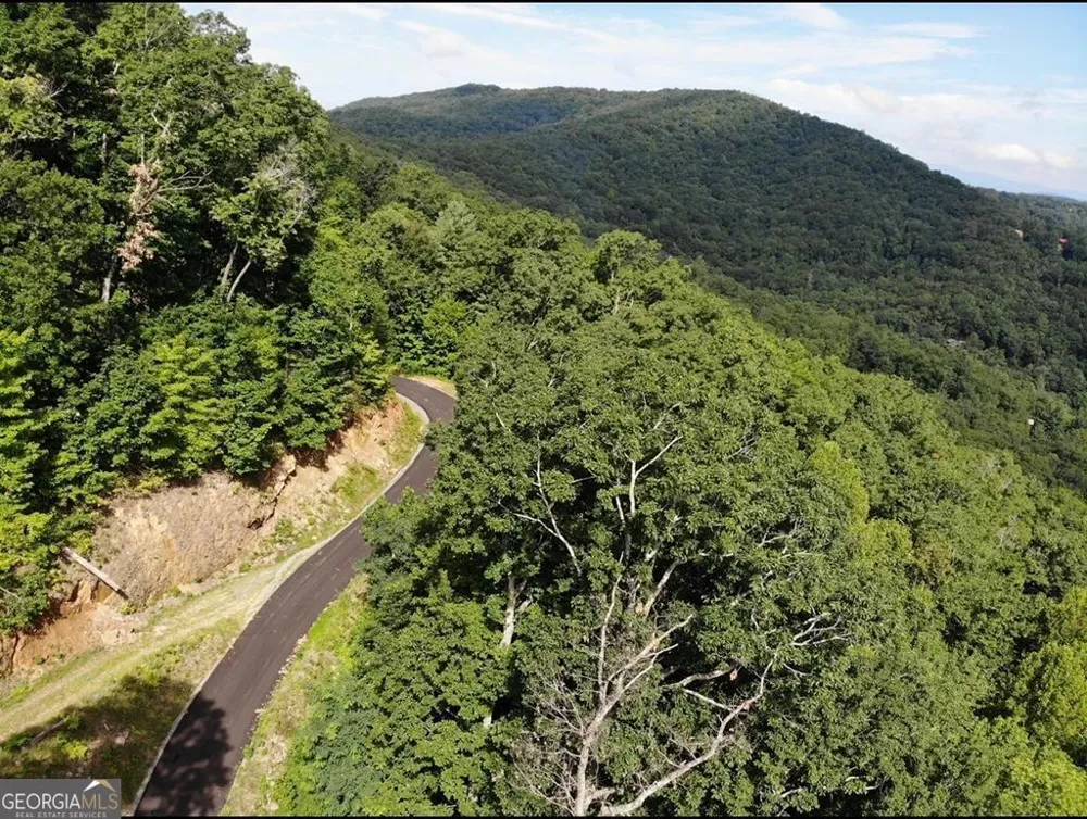 #139 Genessee Path Blue Ridge, GA 30513