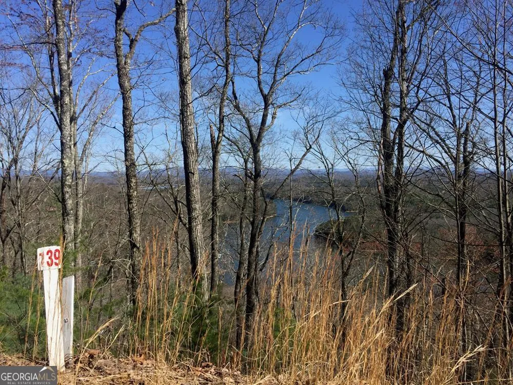 #139 Genessee Path Blue Ridge, GA 30513