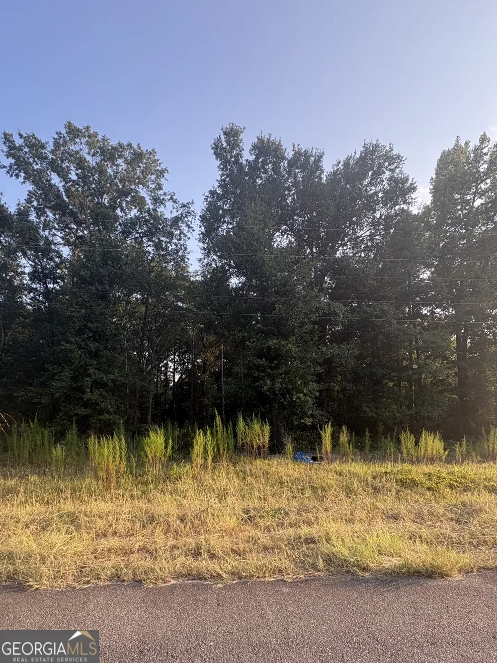 0 Bridgemill RD East Dublin, GA 31027