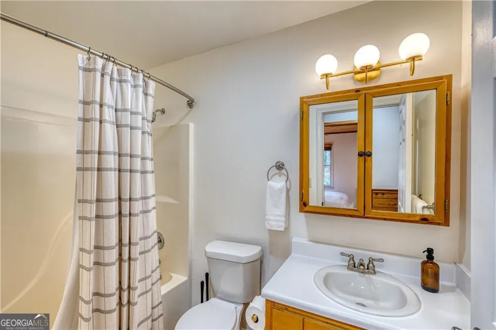 357 Mystic LN Blue Ridge, GA 30513