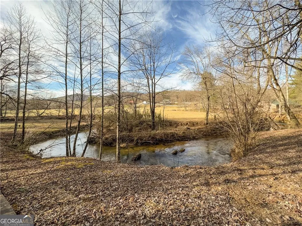 357 Mystic LN Blue Ridge, GA 30513