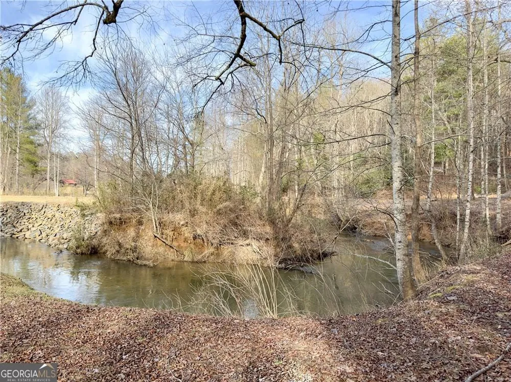 357 Mystic LN Blue Ridge, GA 30513