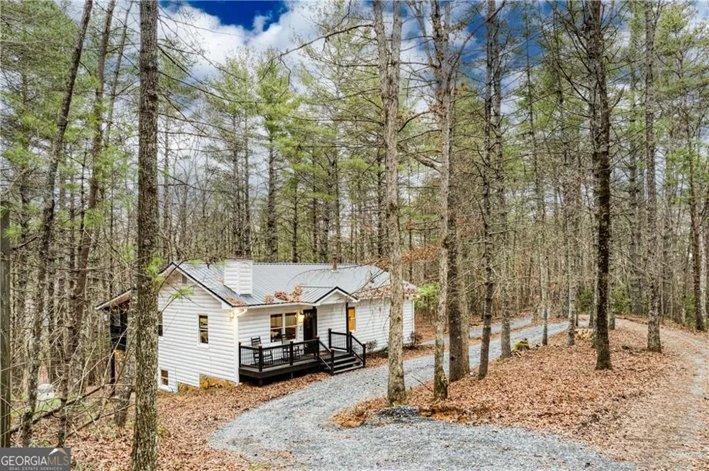 357 Mystic LN Blue Ridge, GA 30513