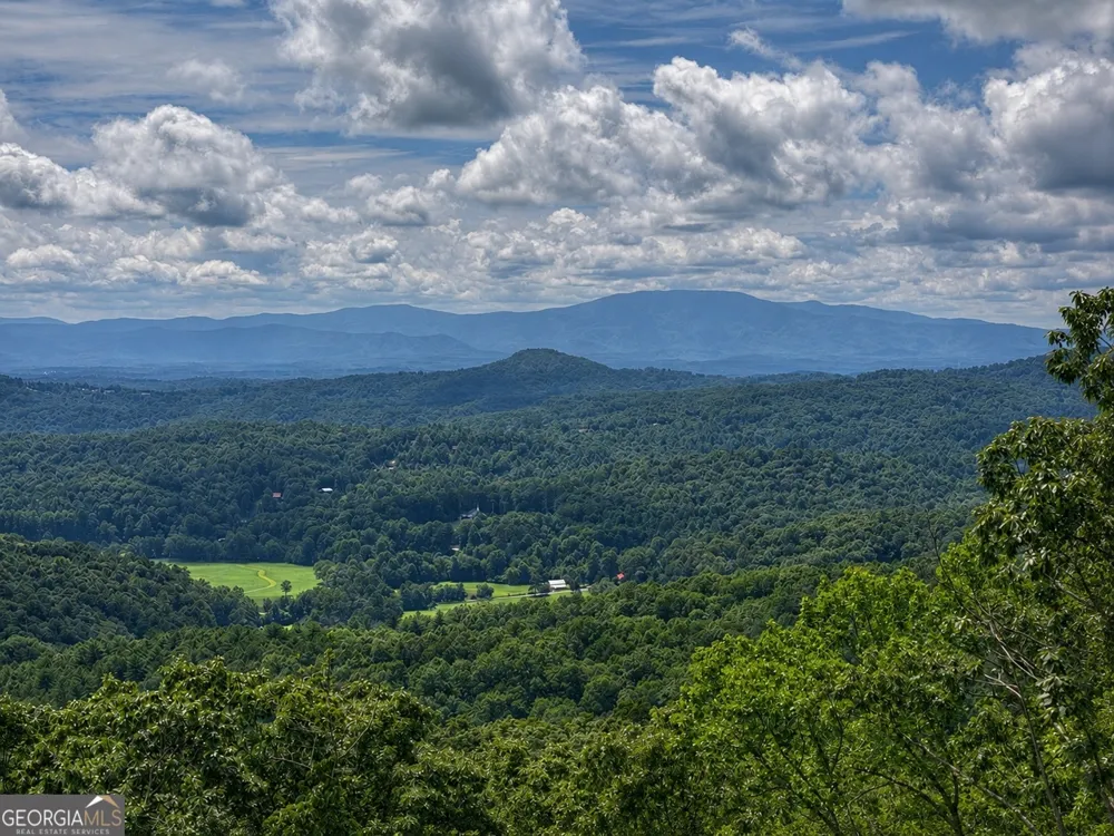 401 Kittatinny DR Mineral Bluff, GA 30559