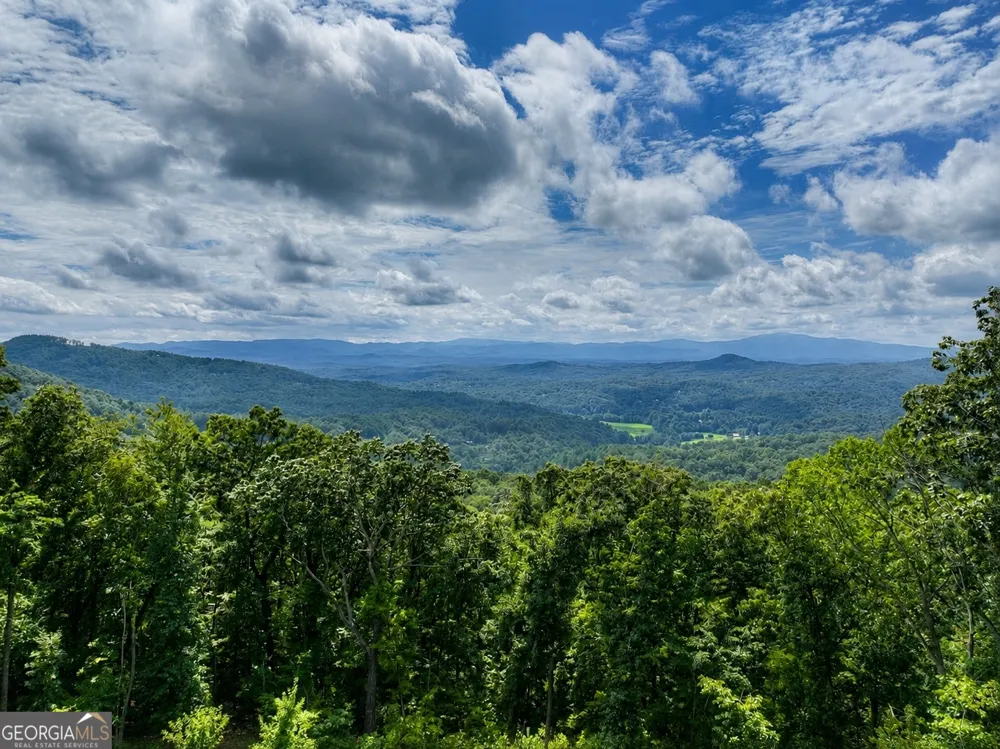 401 Kittatinny DR Mineral Bluff, GA 30559