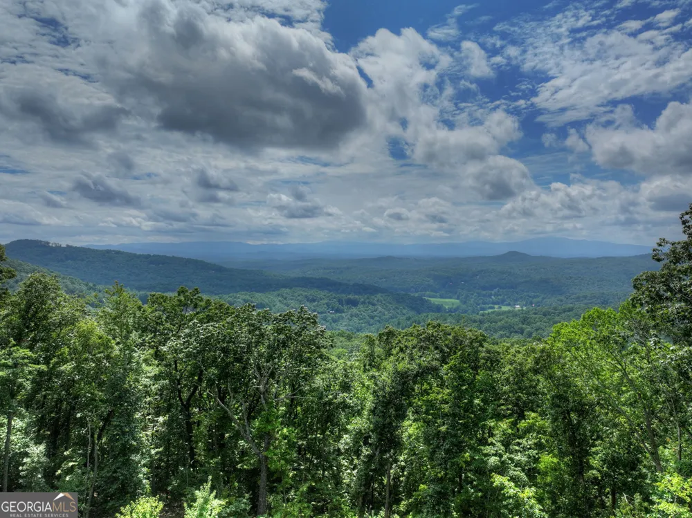 401 Kittatinny DR Mineral Bluff, GA 30559