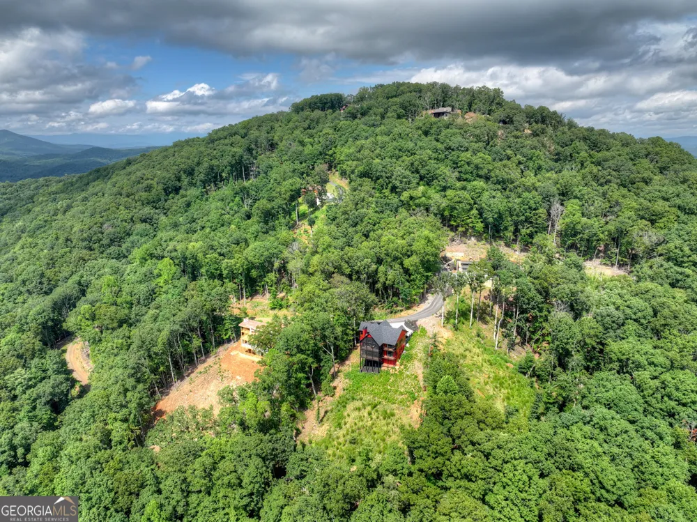 401 Kittatinny DR Mineral Bluff, GA 30559