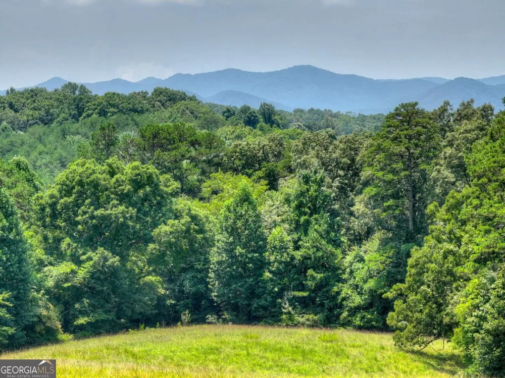 210 Lavista DR Blue Ridge, GA 30513