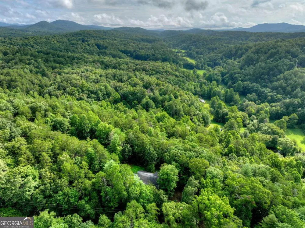 387 Ruby LN Mineral Bluff, GA 30559