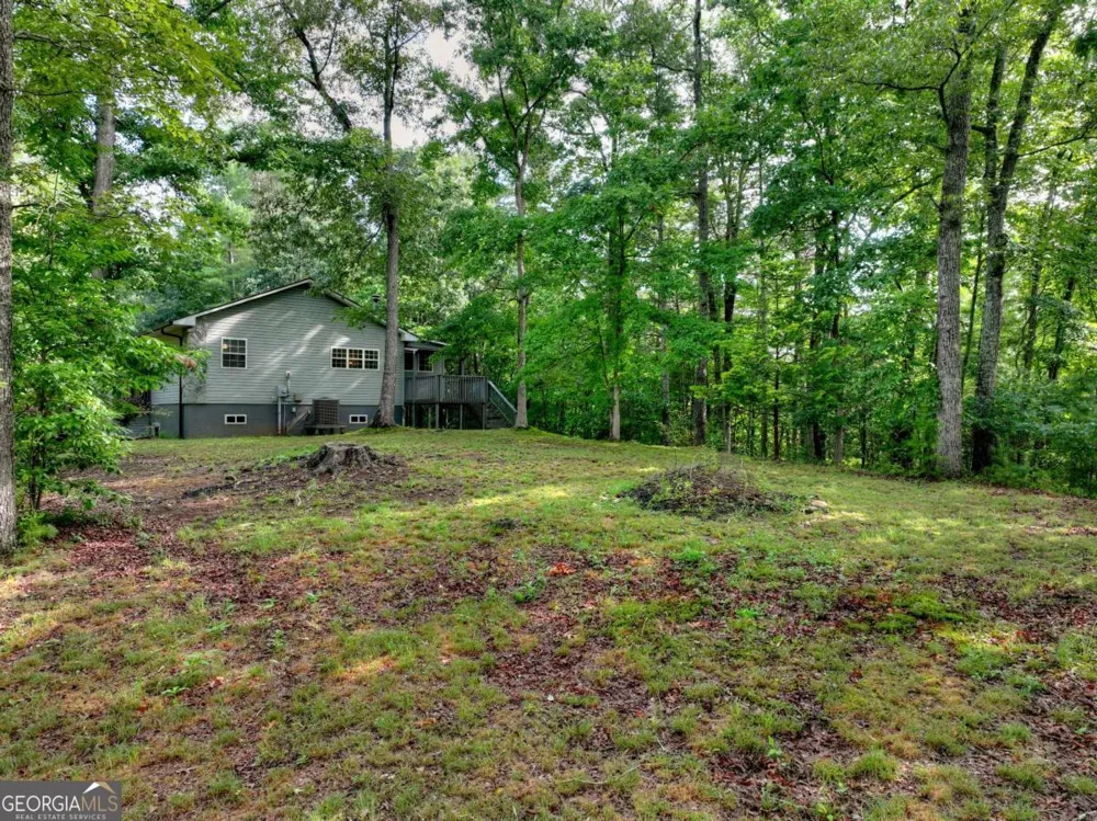387 Ruby LN Mineral Bluff, GA 30559