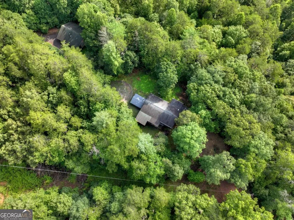 387 Ruby LN Mineral Bluff, GA 30559