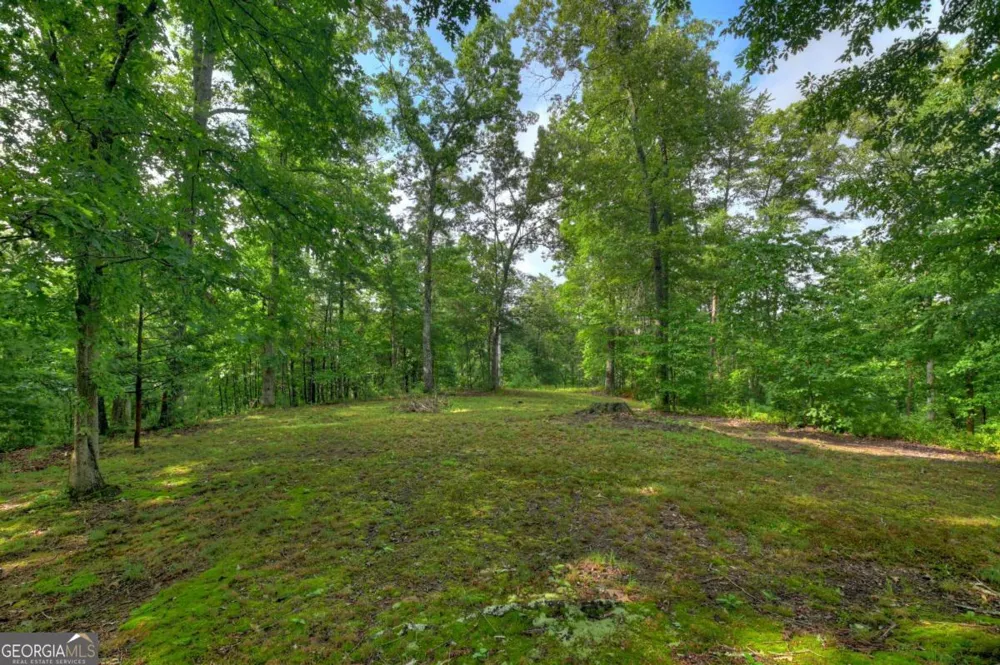 387 Ruby LN Mineral Bluff, GA 30559