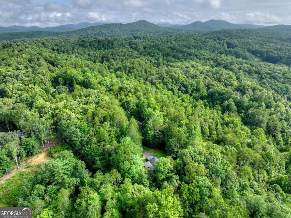 387 Ruby LN Mineral Bluff, GA 30559