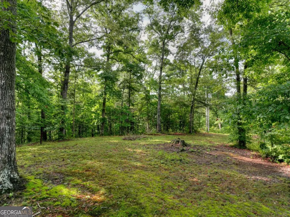 387 Ruby LN Mineral Bluff, GA 30559