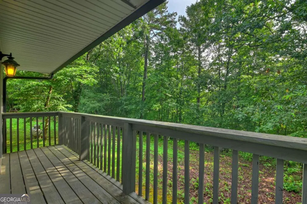 387 Ruby LN Mineral Bluff, GA 30559