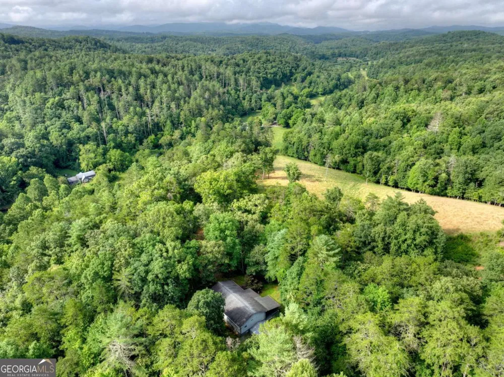 387 Ruby LN Mineral Bluff, GA 30559