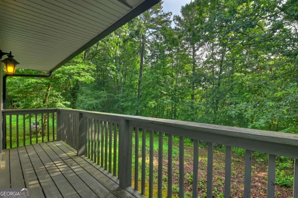 387 Ruby LN Mineral Bluff, GA 30559