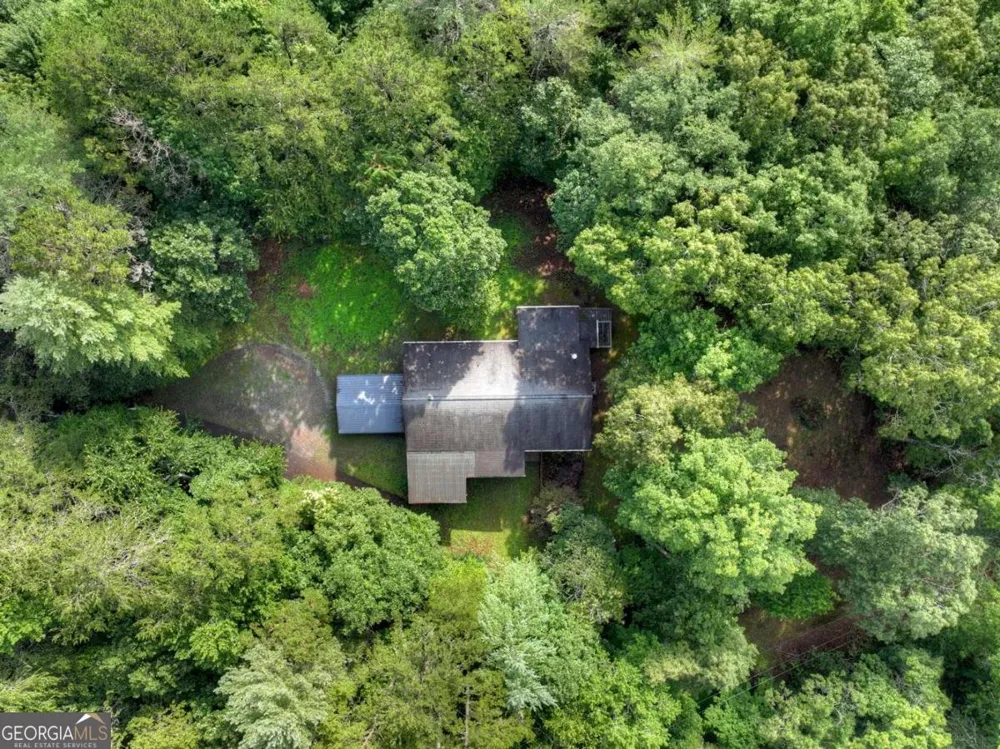 387 Ruby LN Mineral Bluff, GA 30559