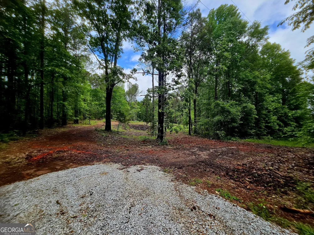 0 School House Hill RD Franklin, GA 30217