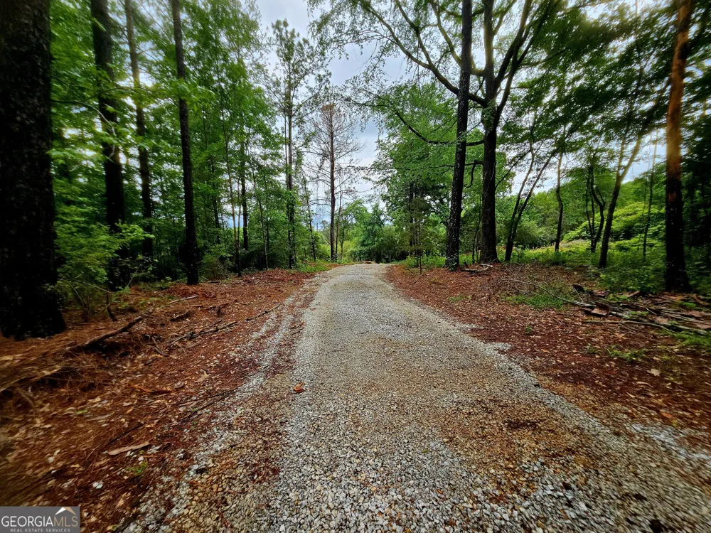 0 School House Hill RD Franklin, GA 30217