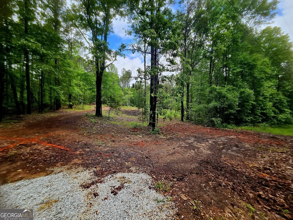 0 School House Hill RD Franklin, GA 30217