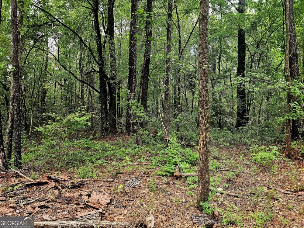 0 School House Hill RD Franklin, GA 30217